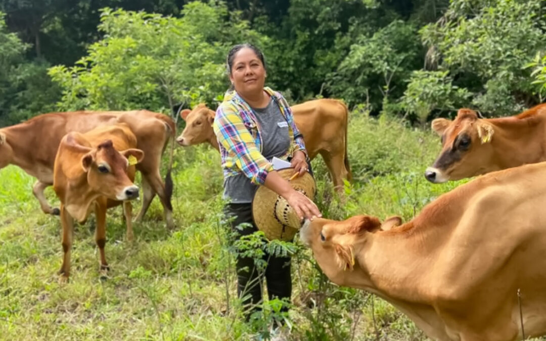 Carne libre de deforestación en sistemas de libre pastoreo: un modelo de producción y comercialización en Jalisco