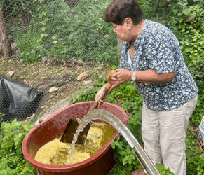 La historia de Irma Cibrián: un ejemplo de ganadería sustentable y liderazgo.